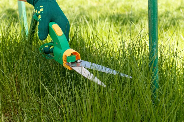 Grass scissors in hand dressed in a green glove is trimming the grass.