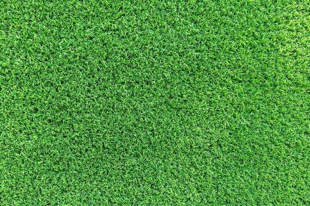 Grass texture or grass background for golf course,