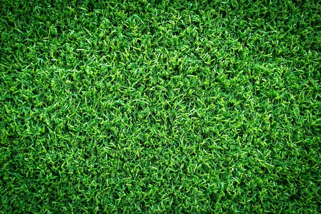 Grass texture or grass background for golf course