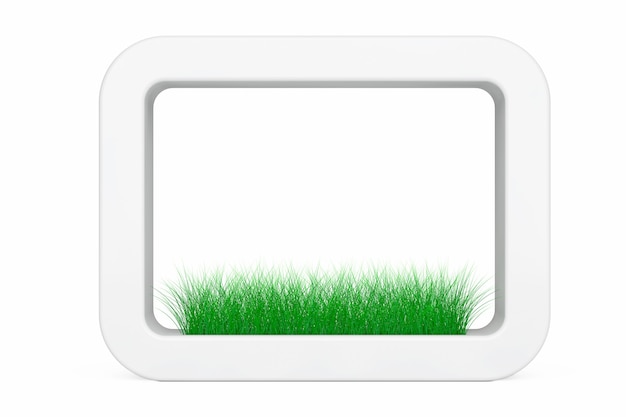 Grass in White Ceramics Planter on a white background. 3d Rendering