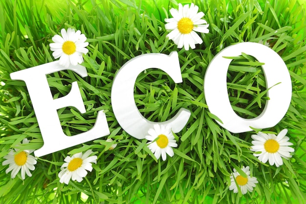 Grass with flowers and white text ECO on it