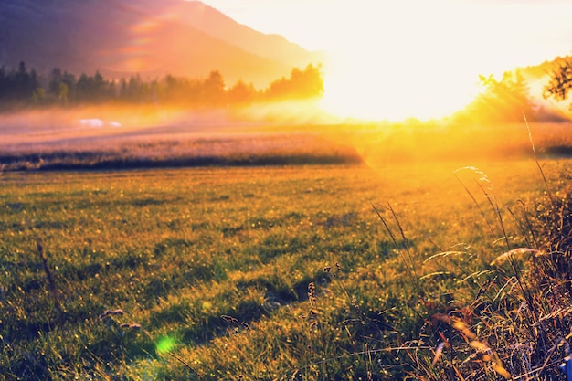 Grassland in mountains