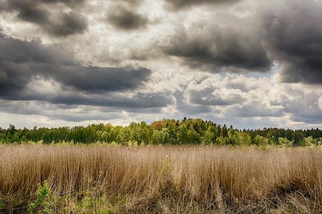 Grassy field against cloudy sky