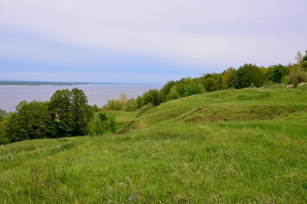 A grassy field with forest line and a view to the Volga river and the rainy sky