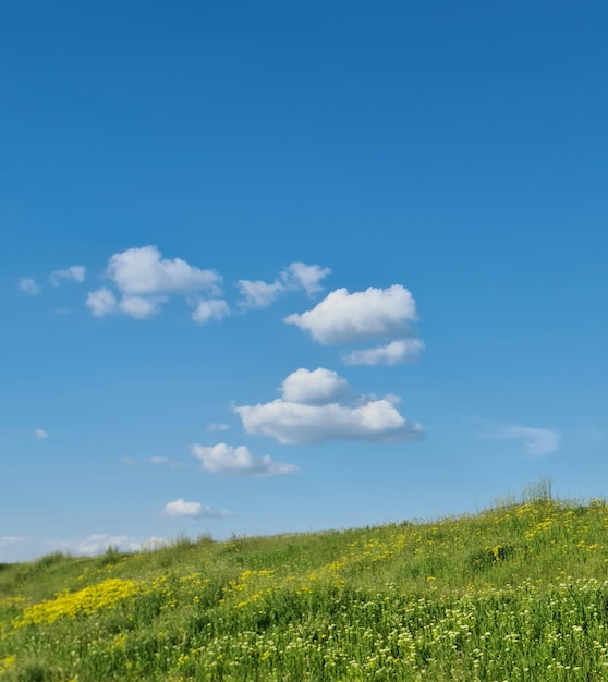 A grassy hill with a blue sky and a cloud with a number 2 on it.