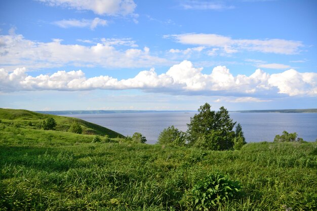 A grassy hill with green tree blue sky and white clouds on horizon with river