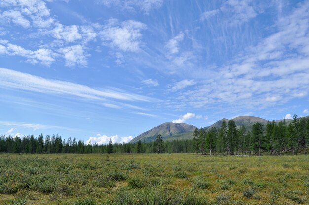 Grassy valley along the mountain ridge