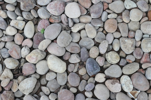 gravel floor images