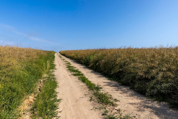 Gravel highway in rural areas