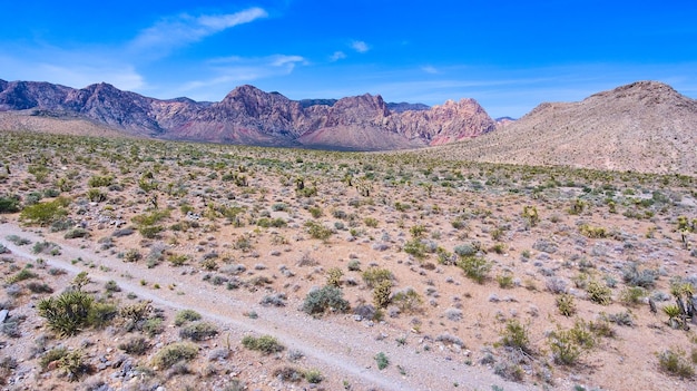 Gravel road in desert plains with large Nevada mountains in background