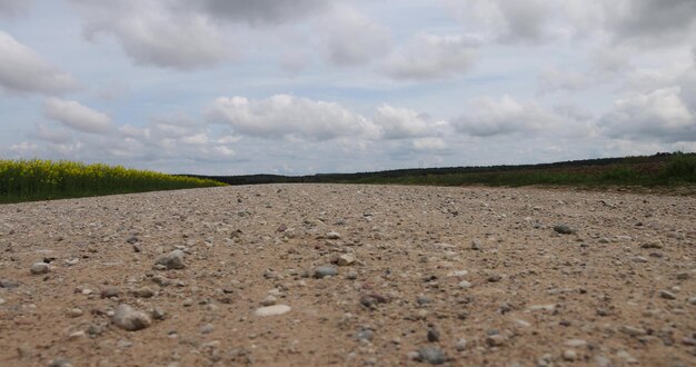 gravel road in the field in spring