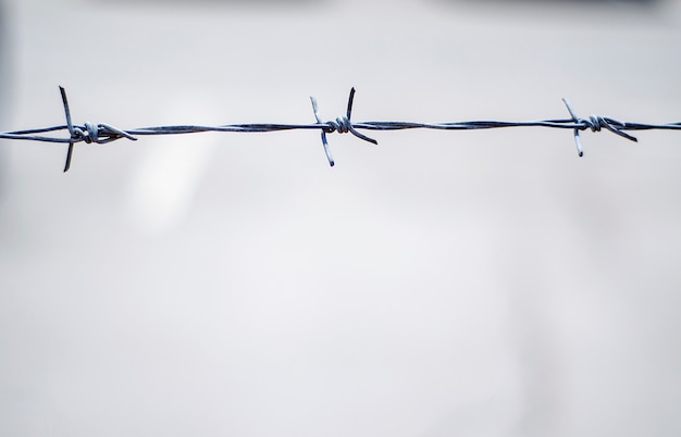 Gray barbed wire