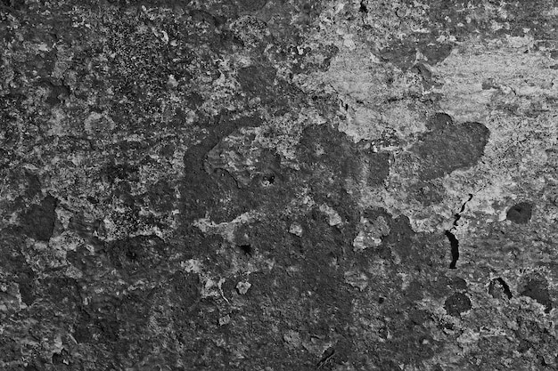 gray grunge concrete blank wall, abstract background art design