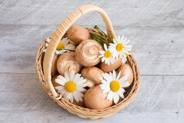 Gray mushrooms are champignons in a basket Decorated with field daisies