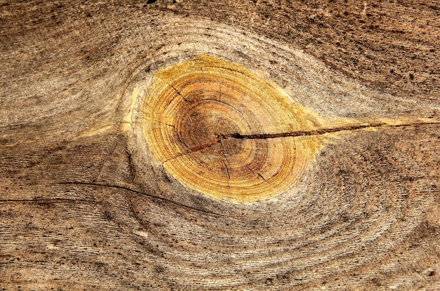 gray old wooden board texture with yellow twigs, wooden background