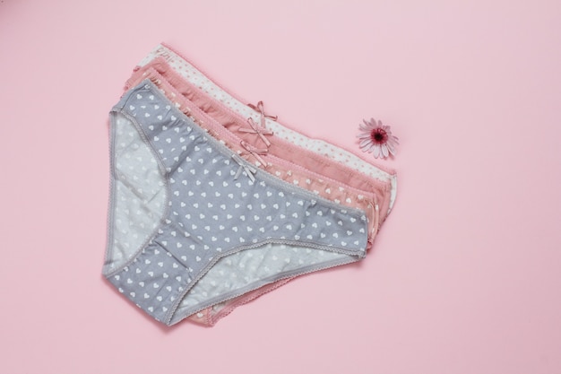 Gray and red cotton panties with flower bud on pink background. Woman underwear set. Top view.