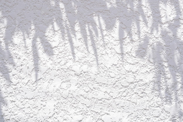 Gray shadow of leaves on white cement wall Abstract Neutral Nature Concept Background space for tex