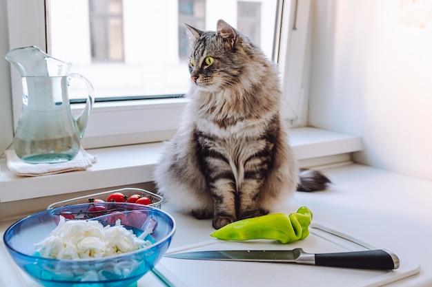 gray striped long-haired cat sits on kitchen table, next to products from which vegetable salad