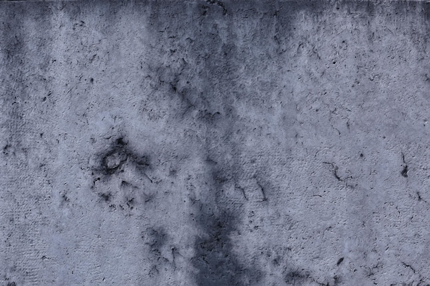 gray stucco grunge wall, abstract background gray wall blank