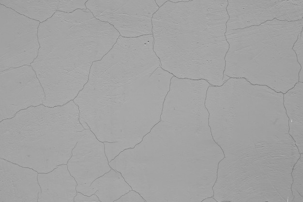 gray stucco grunge wall, abstract background gray wall blank