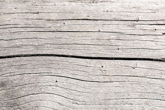 Gray wood texture background