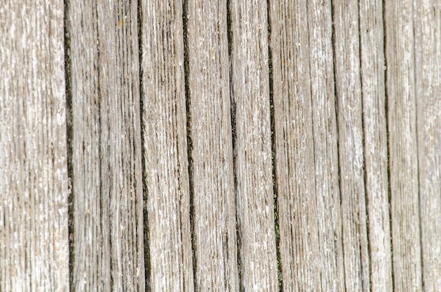 Gray wooden background Old dry boards Wood texture bridge or pier in the village near the river