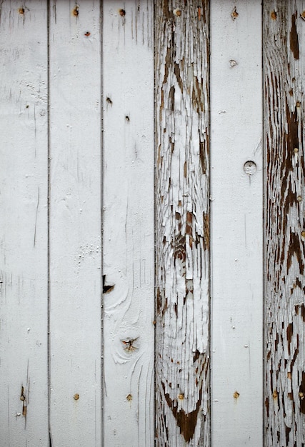 Gray wooden wall macro shot