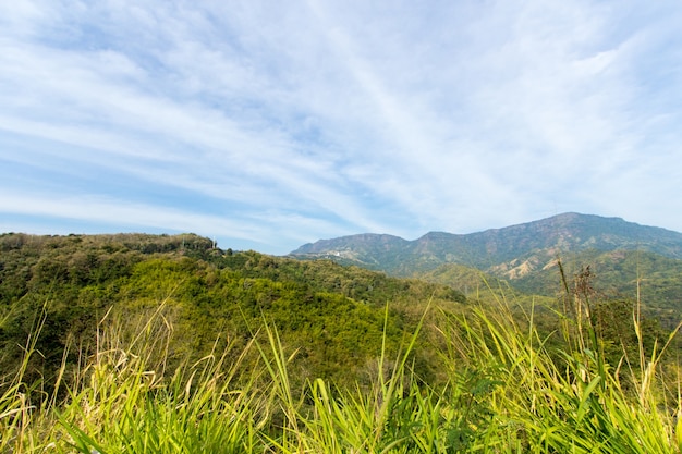 Grean meadow in the mountains