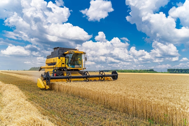 Great combine harvester working at the field Agricultural machine on the blue sky