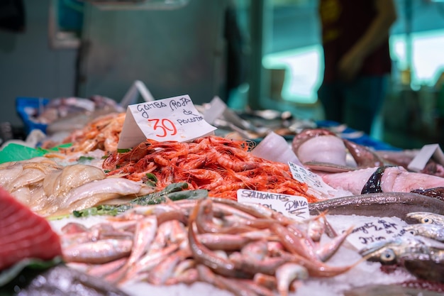 Great quantity of fresh seafood on fish market in Barcelona Spain