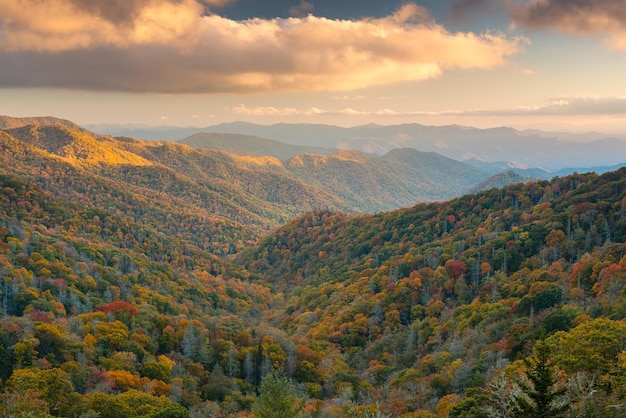 Photo great smoky mountains national park tennessee usa at the newfound pass