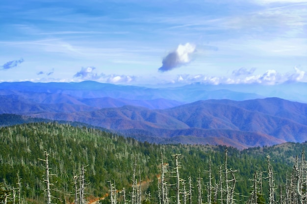 Great Smoky Mountains, USA