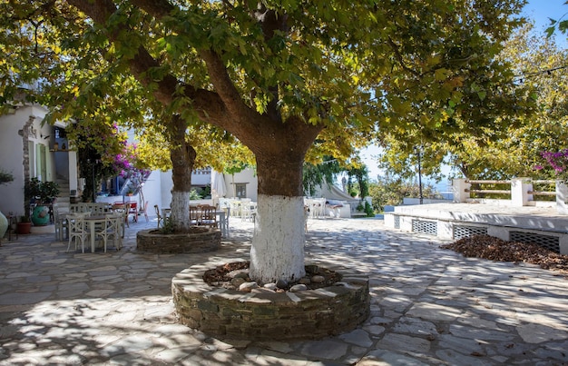 Greece Outdoors cafe under plane tree shadow at Tinos island Dio Horia village Cyclades