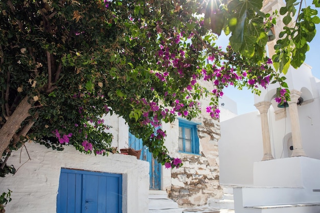 Greece Tinos island of art Cycladic architecture at Pyrgos village