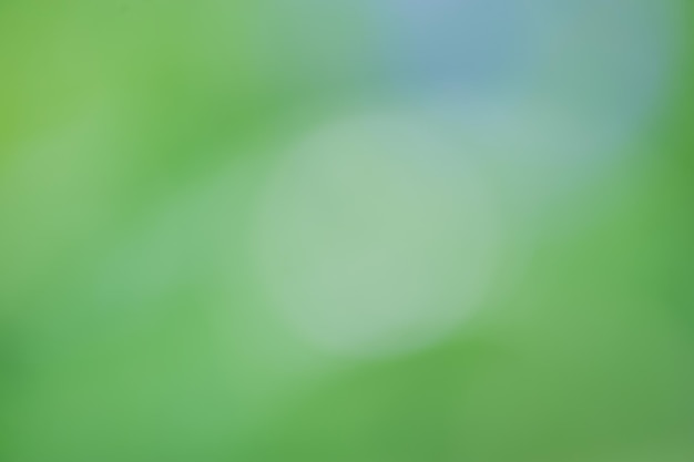 Green abstract background blurred natural Bokeh defocus background