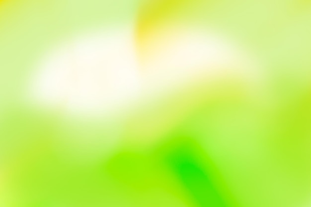 Green abstract background Green trendy out of focus effect