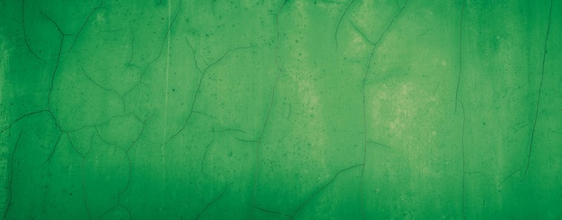 green abstract concrete wall texture background panoramic background