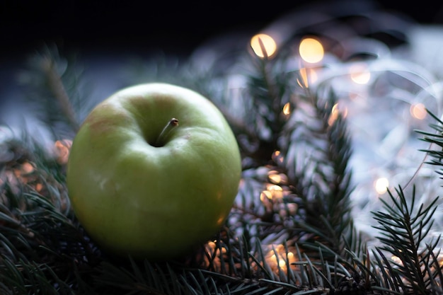 Green apple on Christmas tree branch with garland Bokeh effect Premium photo