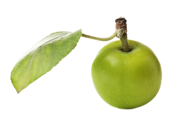 Green apples isolated on white