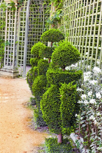 Green archway in a garden. Beautiful Versailles  , France