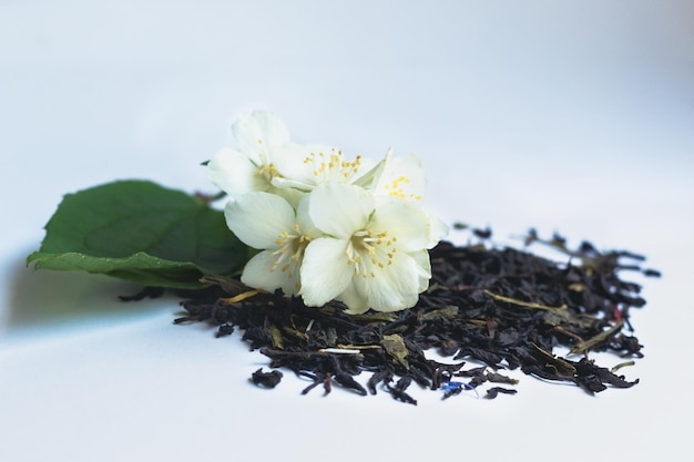 Green aromatic tea with jacmine flowers