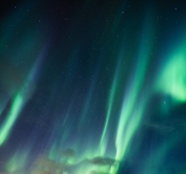 Green Aurora borealis, Northern lights with stars glowing in the night sky on Arctic circle