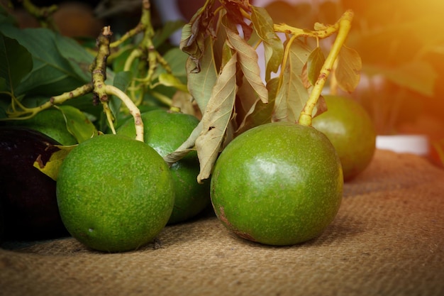 green avocados at the market