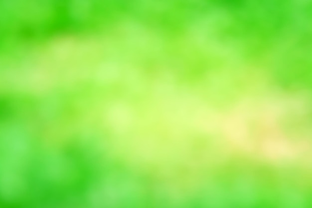 Green background texture summer natural background abstraction summer