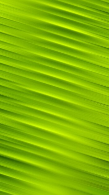 Photo green background with a green leaf pattern