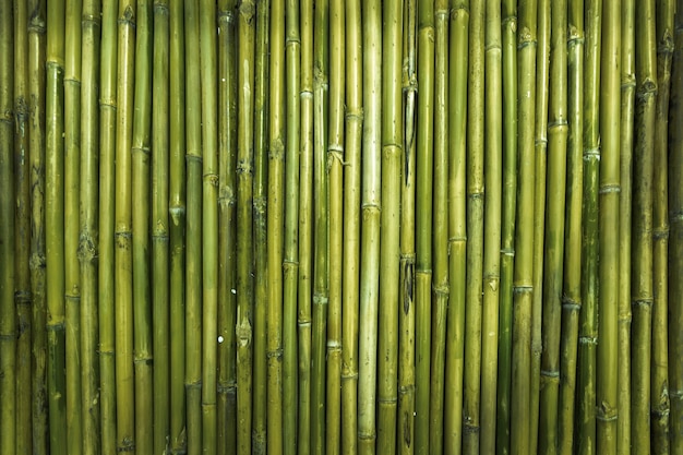 Green bamboo wood texture for defence garden wall