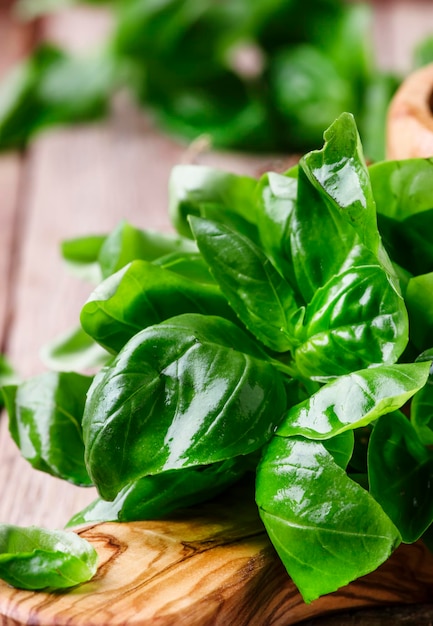 Green basil on a cutting board rustic style selective focus