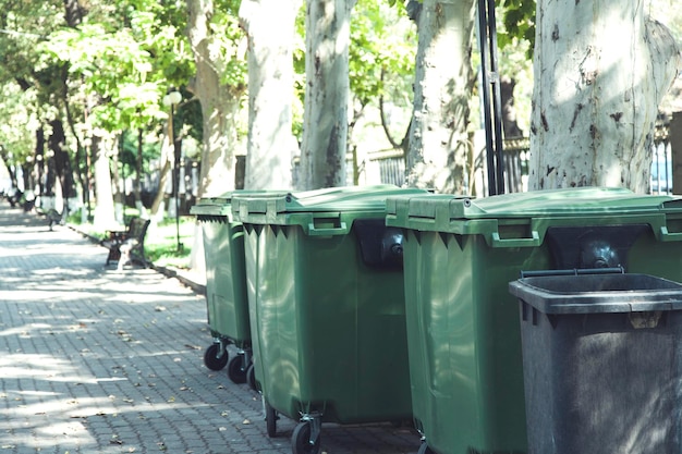 Green bins in street