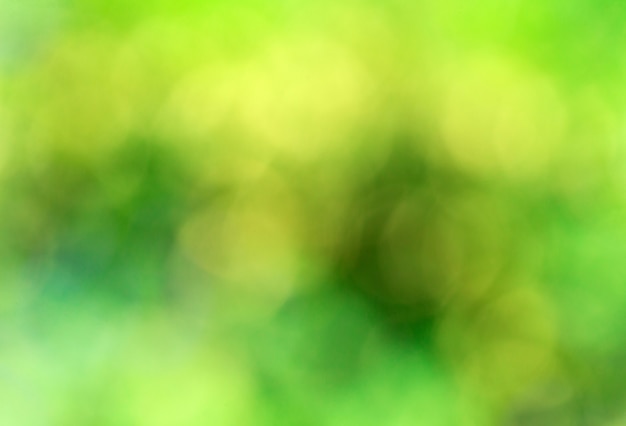 Green bokeh abstract light background