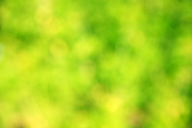 Green bokeh abstract light background